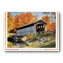Crisp, Fall Days Thanksgiving Cards