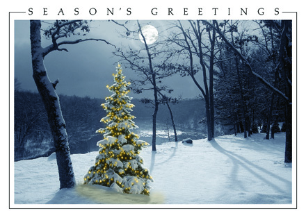 All is Bright Christmas Cards