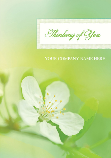Apple Blossom Sympathy Cards